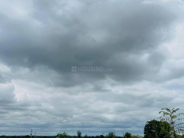 Agricultural Land in Narsapur for resale Hyderabad. The reference number is 18127721