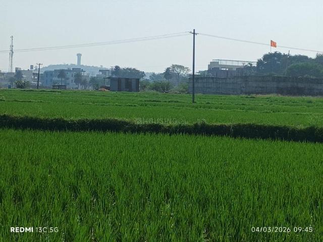 Agricultural Land in Narsapur for resale Hyderabad. The reference number is 19993214