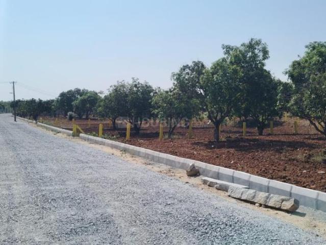 Agricultural Land in Narsapura for resale Kolar. The reference number is 20333568