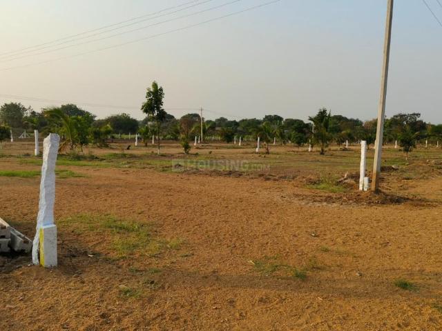 Agricultural Land in Nedunur for resale Hyderabad. The reference number is 21221341