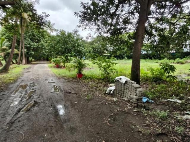 Agricultural Land in Panvel for resale Navi Mumbai. The reference number is 20825872