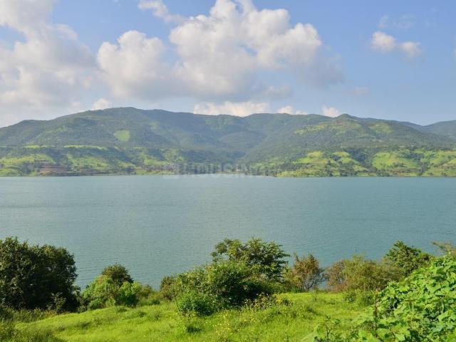 Agricultural Land in Panshet for resale Pune. The reference number is 20097147