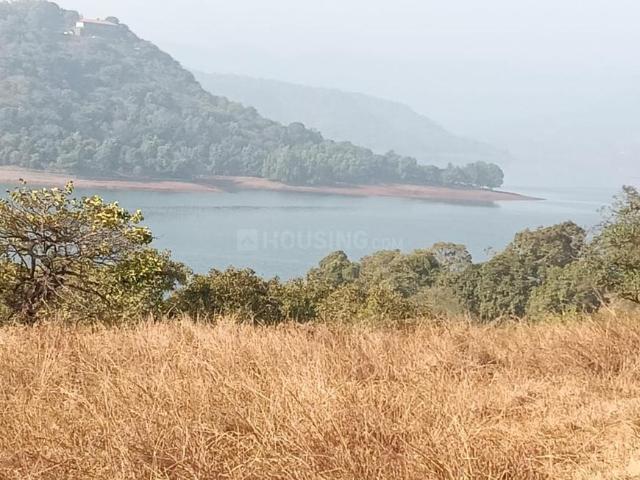 Agricultural Land in Panshet for resale Pune. The reference number is 20097249