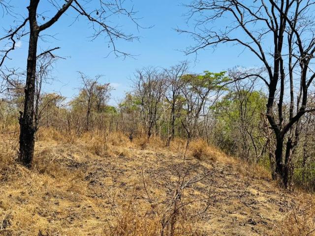 Agricultural Land in Padghawali for resale Raigad. The reference number is 21129625