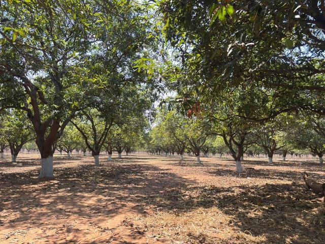 Agricultural Land in Patancheru for resale Sangareddy. The reference number is 20101936