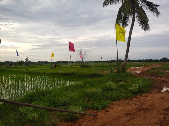 Agricultural Land in Pati for resale Sangareddy. The reference number is 21123404