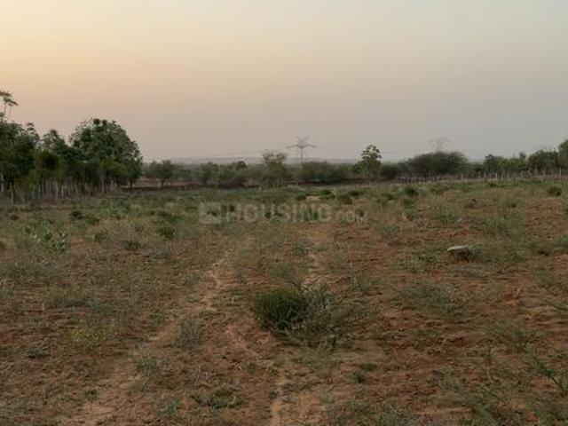 Agricultural Land in Piprali for resale Sikar. The reference number is 20539365