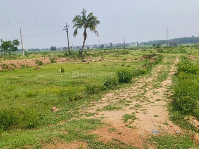 Agricultural Land in Prantik for resale Bolpur Santiniketan. The reference number is 20478361