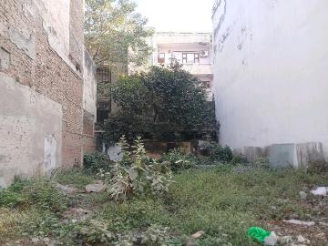 Agricultural Land in Punjabi Bagh for resale New Delhi. The reference number is 16365291