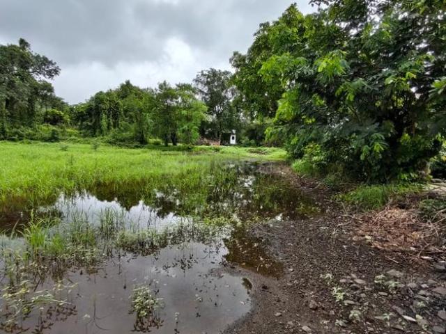Agricultural Land in Rasayani for resale Navi Mumbai. The reference number is 20826107