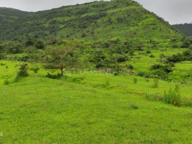 Agricultural Land in Rihe for resale Pune. The reference number is 11583844
