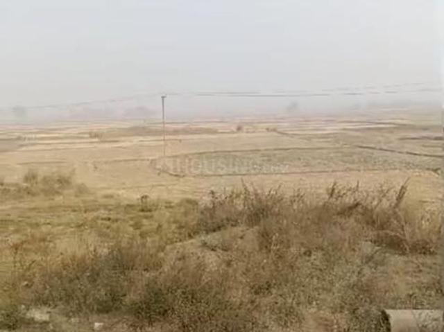 Agricultural Land in Santiniketan for resale Bolpur Santiniketan. The reference number is 16529643
