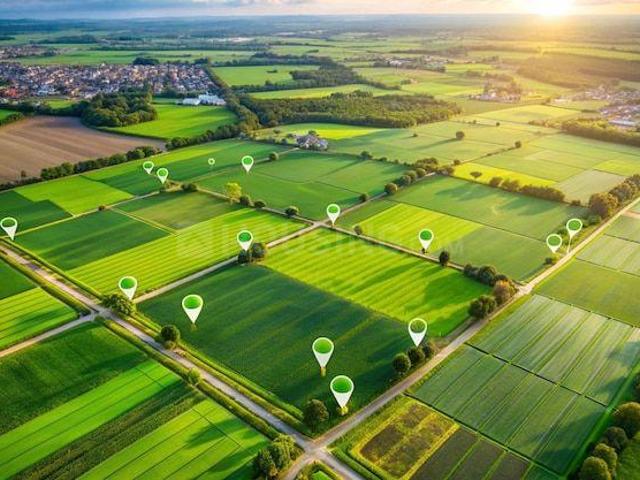 Agricultural Land in Sachana for resale Ahmedabad. The reference number is 21111565
