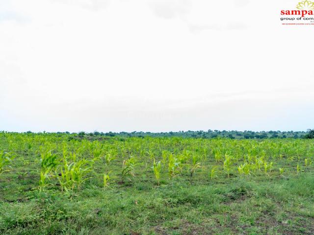 Agricultural Land in Sadasivpet for resale Sangareddy. The reference number is 21098581