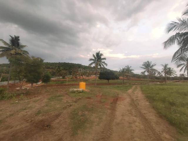 Agricultural Land in Sadhanapalya for resale Bengaluru. The reference number is 18605300