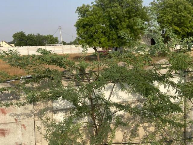 Agricultural Land in Sadhrana Bamripur for resale Gurgaon. The reference number is 20171757