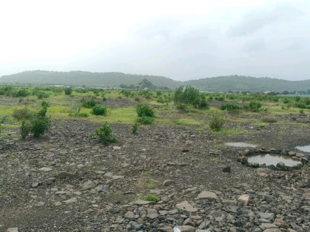 Agricultural Land in Sarde for resale Navi Mumbai. The reference number is 17612971