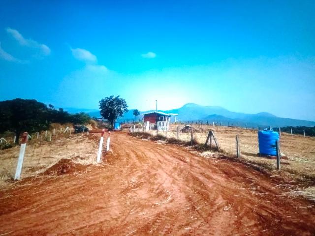 Agricultural Land in Sarde for resale Navi Mumbai. The reference number is 17700053