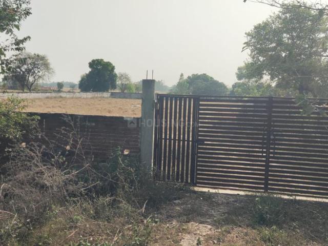 Agricultural Land in Sarojini Nagar for resale Lucknow. The reference number is 20550428