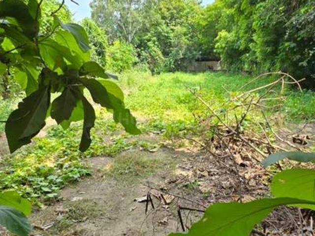 Agricultural Land in Sector 135 for resale Noida. The reference number is 21385454