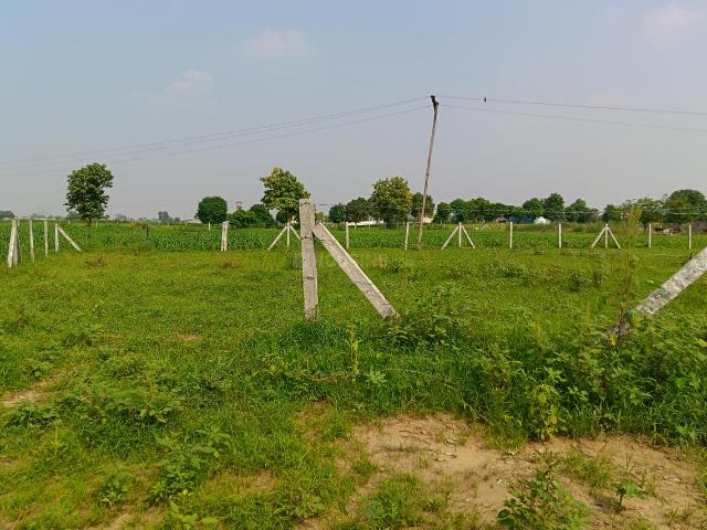 Agricultural Land in Sector 95B for resale Gurgaon. The reference number is 21226512