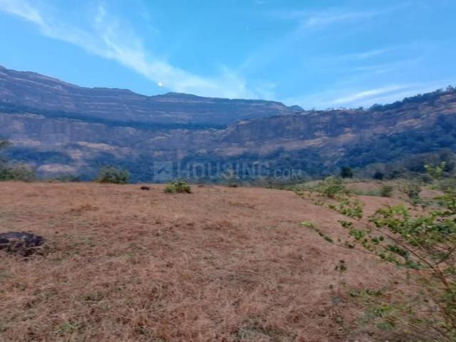 Agricultural Land in Shahapur for resale Thane. The reference number is 20548090