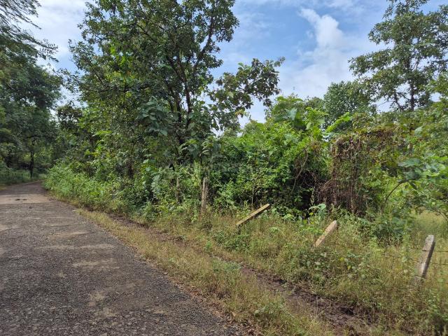 Agricultural Land in Shahapur for resale Thane. The reference number is 20965691
