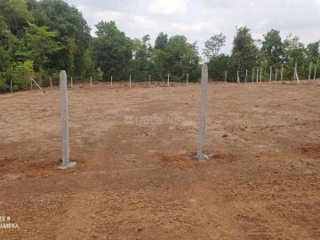 Agricultural Land in Shahpur for resale Navi Mumbai. The reference number is 20524084