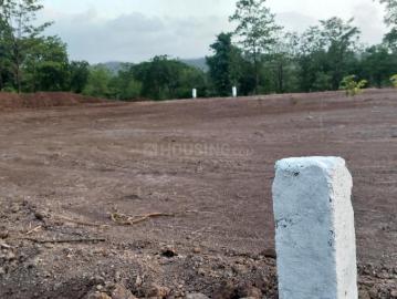 Agricultural Land in Shahpur for resale Navi Mumbai. The reference number is 20524112