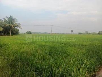 Agricultural Land in Shyampur for resale Bhopal. The reference number is 19491103