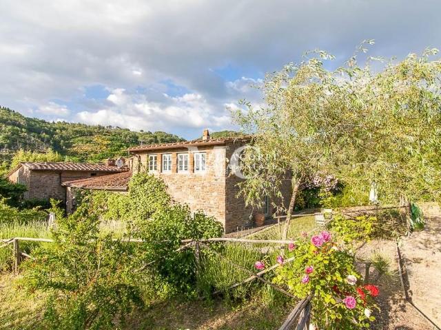 Agriturismo in vendita a Greve In Chianti