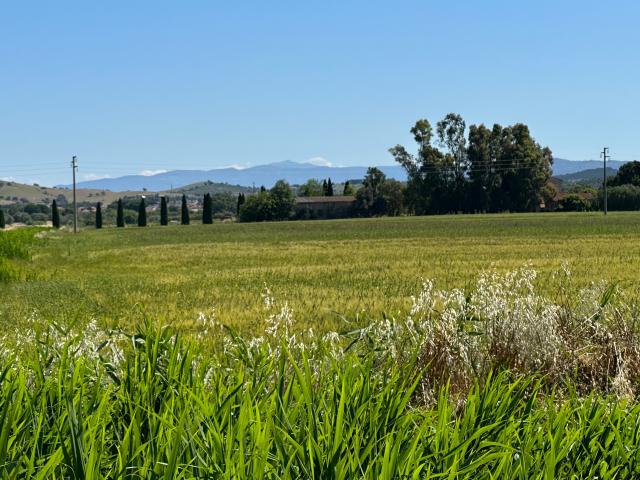 Agriturismo in vendita a Grosseto