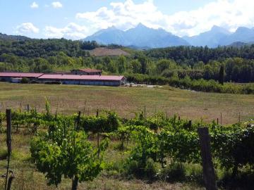 Agriturismo in vendita a Fivizzano