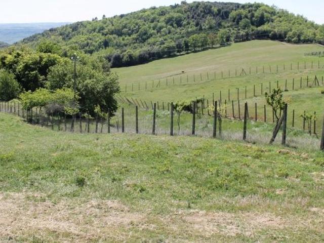 Agriturismo in vendita a Orvieto