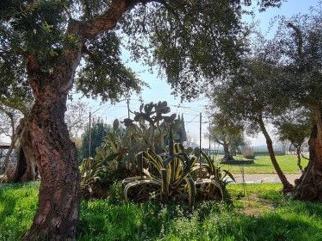 Agriturismo in vendita a San Felice Sul Panaro