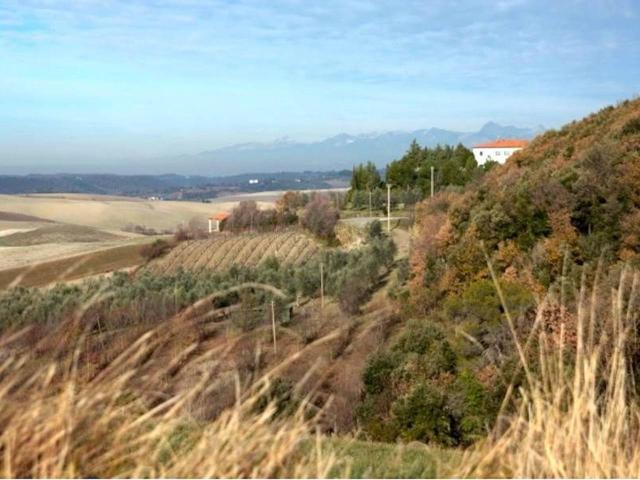 Agriturismo in vendita a Santa Luce