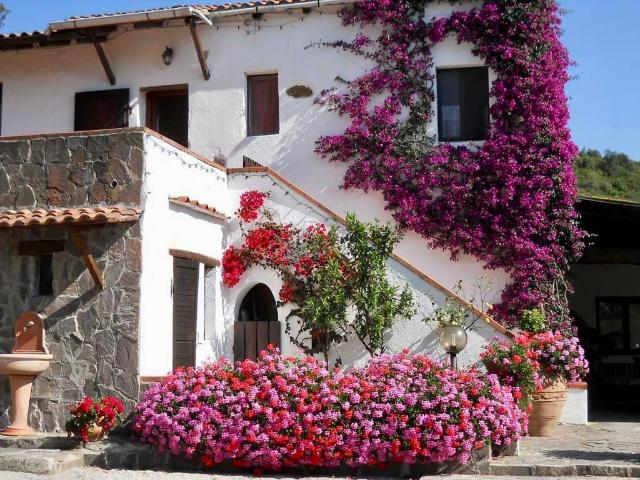 Agriturismo in vendita a Portoferraio