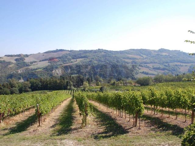 Agriturismo in vendita a Predappio