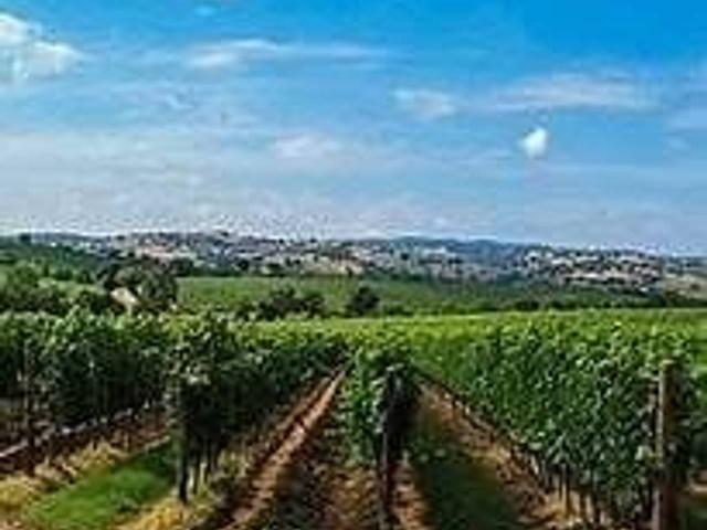 Agriturismo in vendita a Rodigo