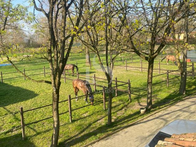 AGRITURISMO in VENDITA a TAVAZZANO CON VILLAVESCO