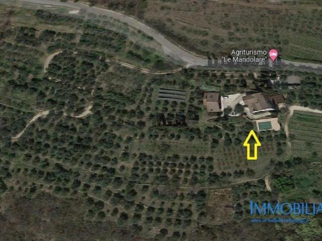 Agriturismo in vendita a Villaga