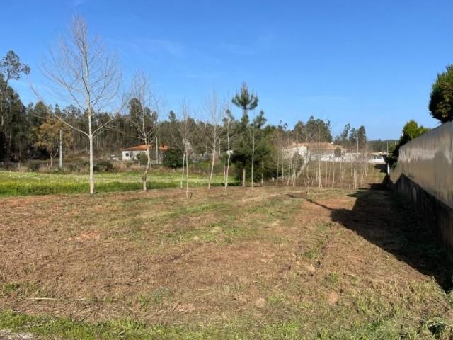 Águeda Águeda 100497199