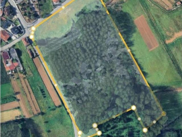 Águeda Águeda 102527382