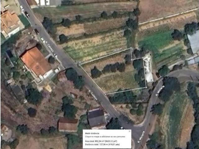 Águeda Águeda 102763409