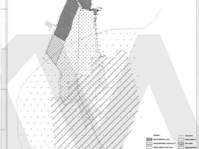 Águeda Águeda 103806199