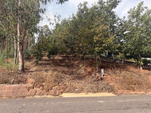 Águeda Águeda 105787041