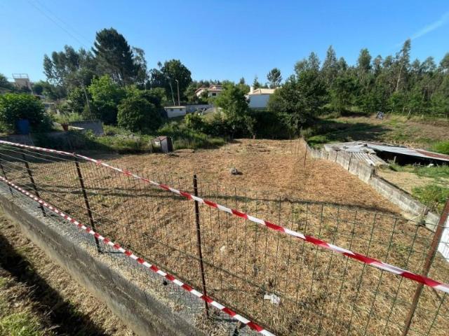 Águeda Águeda 99014040