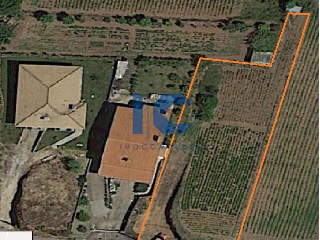 Águeda Terreno para venda