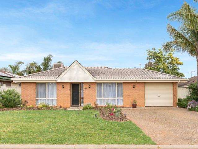 ADORABLE & AFFORDABLE!