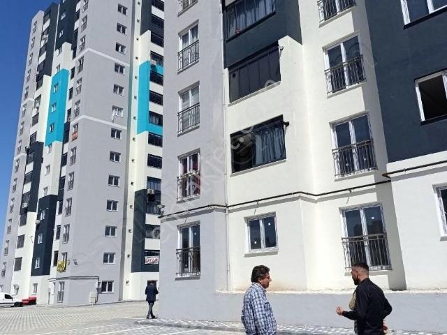 Adakent Emlakdan Ertugrulgazi Mah Satlik 2+1 Sıfır Hasarsiz